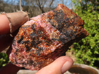 Natural Rough Red Rhodonite Specimens x 6 From Zimbabwe