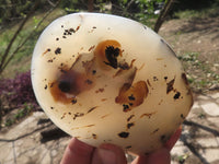 Polished Stunning Semi Translucent Agate Standing Free Forms  x 4 From Madagascar - TopRock