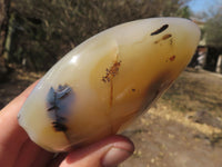 Polished Stunning Semi Translucent Agate Standing Free Forms  x 4 From Madagascar - TopRock