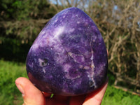 Polished Lepidolite Free Forms & Standing Free Forms x 4 From Zimbabwe - TopRock