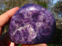 Polished Lepidolite Free Forms & Standing Free Forms x 4 From Zimbabwe - TopRock