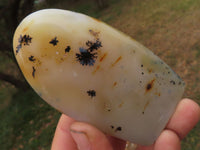 Polished Semi Translucent Dendritic Agate Standing Free Forms  x 5 From Moralambo, Madagascar - TopRock