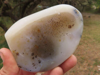 Polished Semi Translucent Dendritic Agate Standing Free Forms  x 5 From Moralambo, Madagascar - TopRock