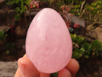 Polished Pink Rose Quartz Gemstone Eggs x 6 From Antsirabe, Madagascar