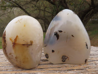 Polished Semi Translucent Dendritic Agate Standing Free Forms  x 5 From Moralambo, Madagascar - TopRock