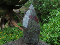 Polished Bastite Dragon Bloodstone Standing Free Forms x 2 From Tshipise, South Africa - TopRock