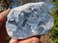 Natural Blue Celestite Crystal Specimens  x 6 From Sakoany, Madagascar