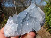 Natural Blue Celestite Crystal Specimens  x 6 From Sakoany, Madagascar