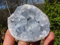 Natural Blue Celestite Crystal Specimens  x 6 From Sakoany, Madagascar