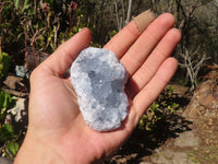 Natural Blue Celestite Crystal Specimens  x 6 From Sakoany, Madagascar