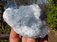 Natural Blue Celestite Crystal Specimens  x 6 From Sakoany, Madagascar