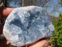 Natural Blue Celestite Crystal Specimens  x 6 From Sakoany, Madagascar