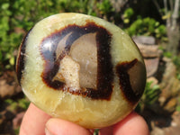 Polished Septerye (Aragonite & Calcite) Palm Stones  x 20 From Madagascar - Toprock Gemstones and Minerals 