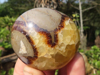 Polished Septerye (Aragonite & Calcite) Palm Stones  x 20 From Madagascar - Toprock Gemstones and Minerals 