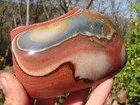 Polished Polychrome Jasper Domed Pieces  x 3 From Madagascar