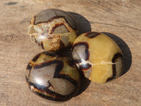 Polished Septerye (Aragonite & Calcite) Palm Stones  x 20 From Madagascar - Toprock Gemstones and Minerals 