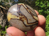 Polished Septerye (Aragonite & Calcite) Palm Stones  x 20 From Madagascar - Toprock Gemstones and Minerals 