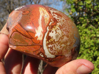 Polished Polychrome Jasper Domed Pieces  x 3 From Madagascar