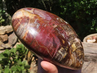 Polished Extra Large Petrified Red Wood Heart  x 1 From Madagascar - TopRock