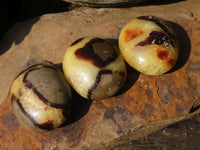 Polished Septerye (Aragonite & Calcite) Palm Stones  x 20 From Madagascar - Toprock Gemstones and Minerals 