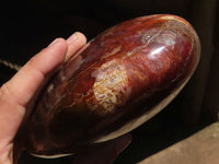 Polished Extra Large Petrified Red Wood Heart  x 1 From Madagascar - TopRock