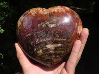 Polished Extra Large Petrified Red Wood Heart  x 1 From Madagascar - TopRock