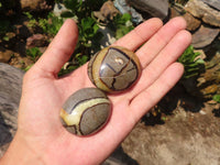 Polished Septerye (Aragonite & Calcite) Palm Stones  x 20 From Madagascar - Toprock Gemstones and Minerals 