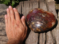 Polished Extra Large Petrified Red Wood Heart  x 1 From Madagascar - TopRock