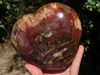 Polished Extra Large Petrified Red Wood Heart  x 1 From Madagascar - TopRock