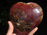 Polished Extra Large Petrified Red Wood Heart  x 1 From Madagascar - TopRock