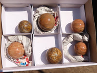 Polished Flashy Peach Moonstone Spheres  x 6 From Madagascar - Toprock Gemstones and Minerals 