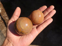 Polished Flashy Peach Moonstone Spheres  x 6 From Madagascar - Toprock Gemstones and Minerals 