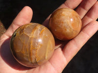 Polished Flashy Peach Moonstone Spheres  x 6 From Madagascar - Toprock Gemstones and Minerals 