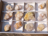 Natural White Cactus Spirit Quartz Clusters  x 12 From Boekenhouthoek, South Africa - Toprock Gemstones and Minerals 