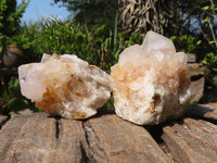 Natural White Cactus Spirit Quartz Clusters  x 12 From Boekenhouthoek, South Africa - Toprock Gemstones and Minerals 