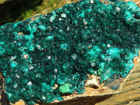 Natural XL Dioptase Cabinet Specimen With Shiny Emerald Green Crystals x 1 From Congo - TopRock