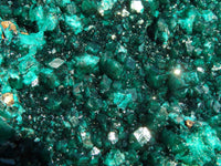 Natural XL Dioptase Cabinet Specimen With Shiny Emerald Green Crystals x 1 From Congo - TopRock