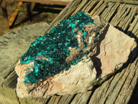 Natural XL Dioptase Cabinet Specimen With Shiny Emerald Green Crystals x 1 From Congo - TopRock