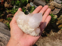 Natural White Cactus Spirit Quartz Clusters  x 12 From Boekenhouthoek, South Africa - Toprock Gemstones and Minerals 