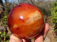 Polished Carnelian Agate Spheres  x 4 From Madagascar