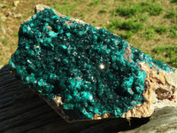 Natural XL Dioptase Cabinet Specimen With Shiny Emerald Green Crystals x 1 From Congo - TopRock