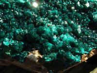 Natural XL Dioptase Cabinet Specimen With Shiny Emerald Green Crystals x 1 From Congo - TopRock