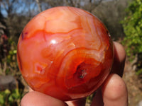 Polished Carnelian Agate Spheres  x 4 From Madagascar