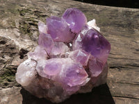 Natural Jacaranda Amethyst Cluster With Nice Large Crystals  x 1 From Mumbwa, Zambia - TopRock