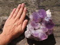 Natural Jacaranda Amethyst Cluster With Nice Large Crystals  x 1 From Mumbwa, Zambia - TopRock