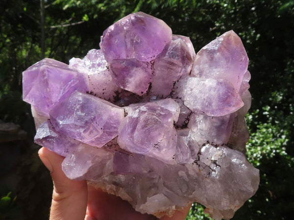 Natural Jacaranda Amethyst Cluster With Nice Large Crystals  x 1 From Mumbwa, Zambia - TopRock