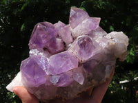 Natural Jacaranda Amethyst Cluster With Nice Large Crystals  x 1 From Mumbwa, Zambia - TopRock