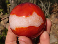 Polished Carnelian Agate Spheres  x 4 From Madagascar