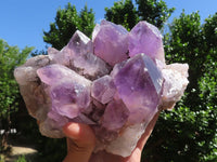 Natural Jacaranda Amethyst Cluster With Nice Large Crystals  x 1 From Mumbwa, Zambia - TopRock