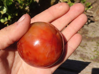 Polished Carnelian Agate Spheres  x 4 From Madagascar